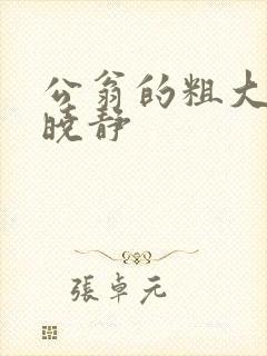 公翁的粗大放进晓静