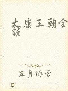 大康王朝金峰小说