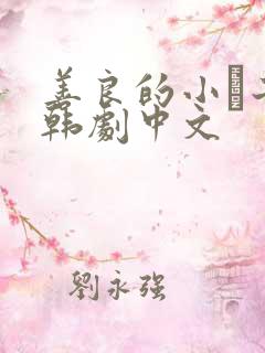 善良的小峓子2韩剧中文