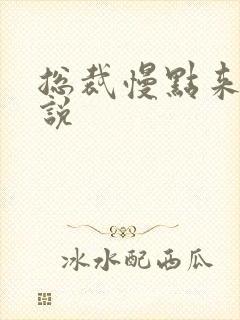 总裁慢点来 小说