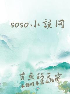 soso小说网