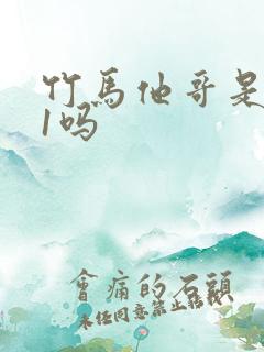 竹马他哥是1v1吗