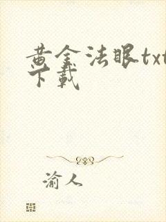 黄金法眼txt下载
