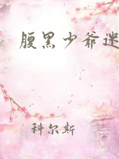 腹黑少爷迷糊妻