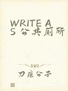WRITE AS 公共厕所