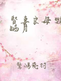 贤妻良母 鹦鹉晒月