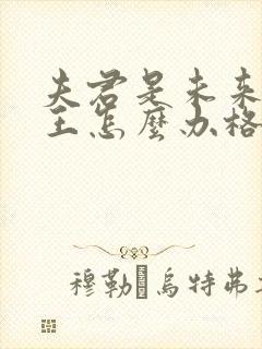 夫君是未来大魔王怎么办格格党