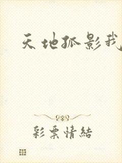 天地孤影我独行