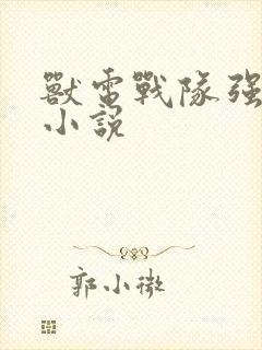 兽电战队强龙者小说