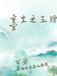 重生之王牌检察官