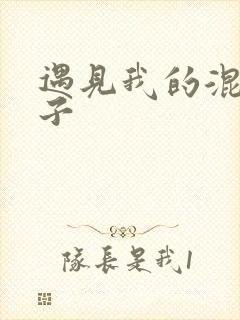 遇见我的混血王子