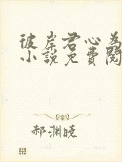 彼岸君心为我倾小说免费阅读