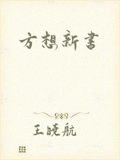 方想新书