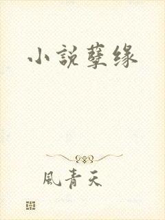 小说孽缘