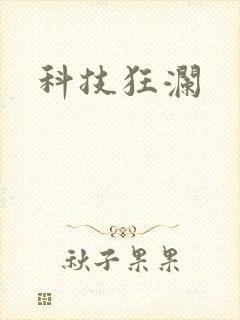 科技狂澜