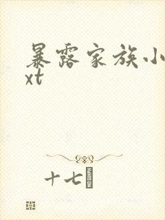 暴露家族小说txt