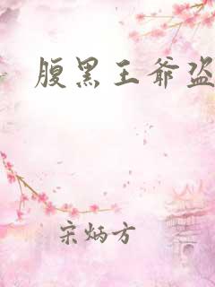 腹黑王爷盗墓妃