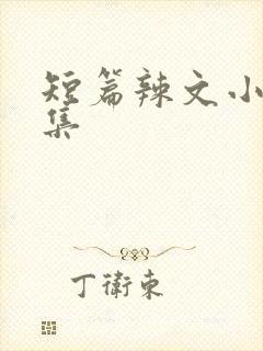 短篇辣文小说合集