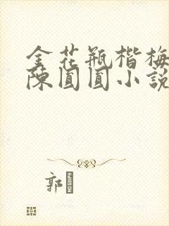 金花瓶楷梅花2陈圆圆小说