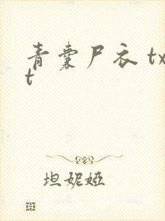 青囊尸衣 txt