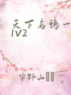 天下乌鸦一般黑1V2