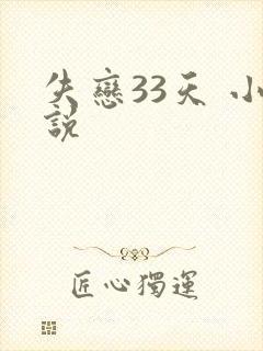 失恋33天 小说