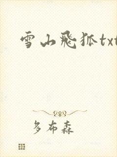 雪山飞狐txt
