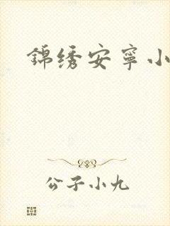 锦绣安宁小说