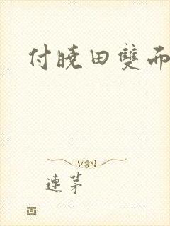 付晓田双面间谍