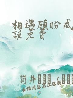 相遇顾盼成欢小说免费