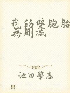 我的双胞胎老婆无删减