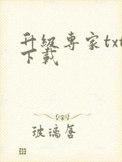 升级专家txt下载