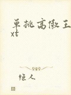 单挑高傲王子txt