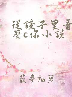 从镜子里看我怎么c你小说