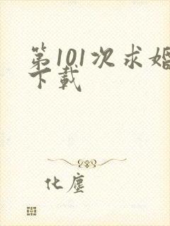 第101次求婚下载
