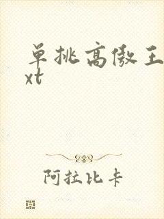 单挑高傲王子txt