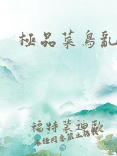 极品菜鸟乱江湖