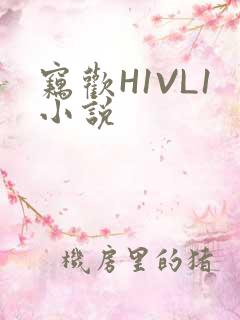 窃欢H1VL1小说