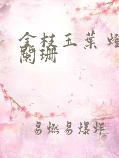 金枝玉叶 灯火阑珊