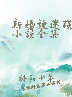 新婚被迷强系列小说全集