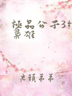 极品公子3续世枭雄