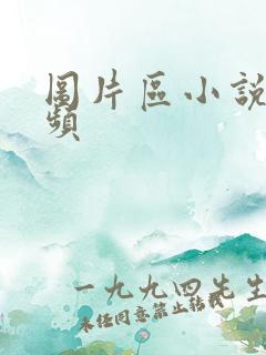 图片区小说区视频