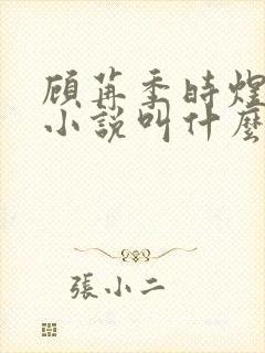 顾苒季时煜电竞小说叫什么名字