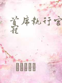 首席执行官的绝宠