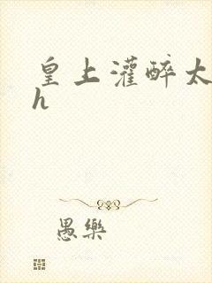 皇上灌醉太子妃h