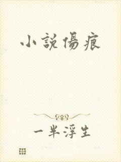 小说伤痕