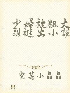 少妇被粗大的猛烈进出小说网