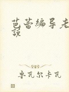 芭蕾编导老师小说