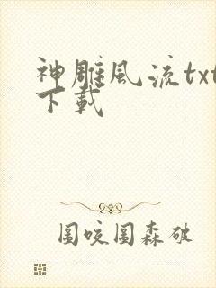 神雕风流txt下载