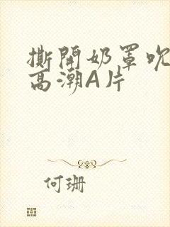 撕开奶罩吮奶头高潮A片